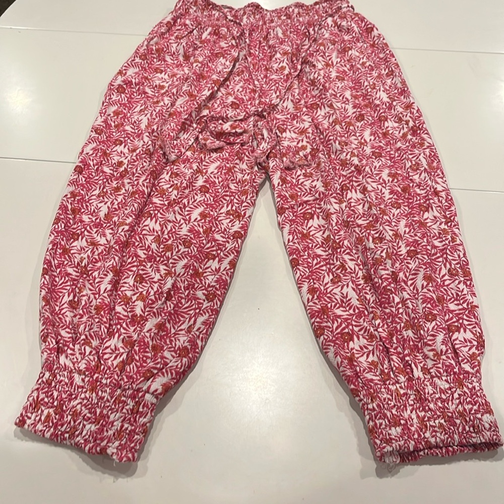 Anthropologie Pink Floral Pants